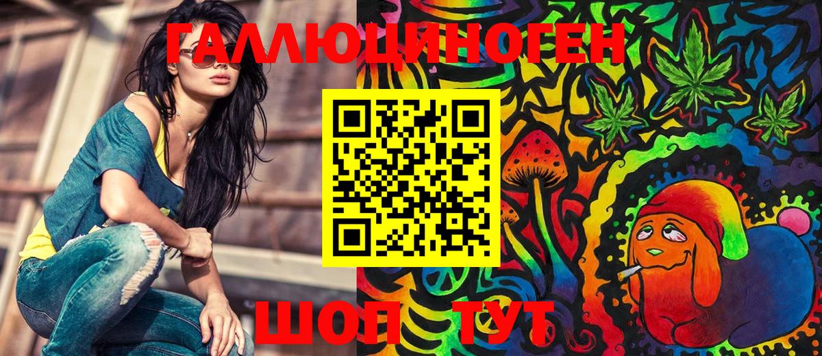 Псилоцибиновые грибы Psilocybe Коркино